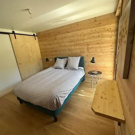 Neuf Skis Aux Pieds Apartment Enchastrayes